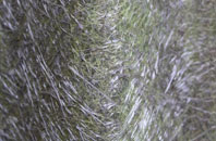 Longley Green fibreglass roof work